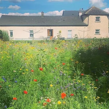 Wildflower Clonmel