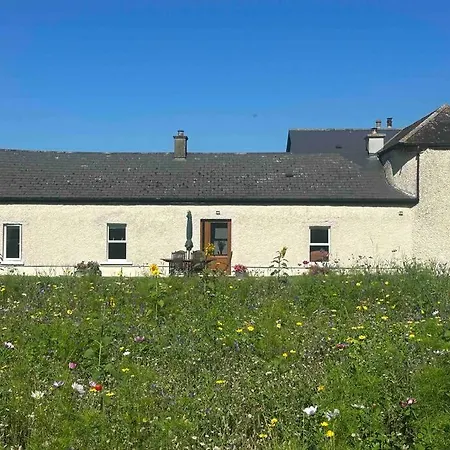 Wildflower Apartment